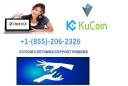 Kucoin Customer Support Phone Number  logo